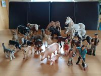 Schleich Tiere und Figuren Nordrhein-Westfalen - Iserlohn Vorschau