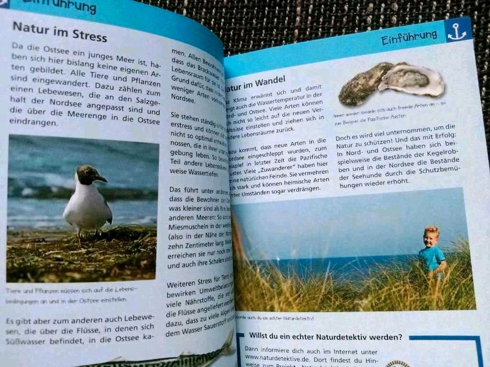 Natur Detektive Kinder Bibliothek Bücher Tiere Meer Wald ua BtBj in Neudenau 