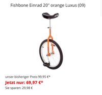Fishbone Einrad orange 20 Zoll Bayern - Eschau Vorschau