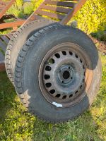 2x Winterreifen 185/70 R 14 88T, DOT 45/2021, 8mm Rheinland-Pfalz - Masburg Vorschau