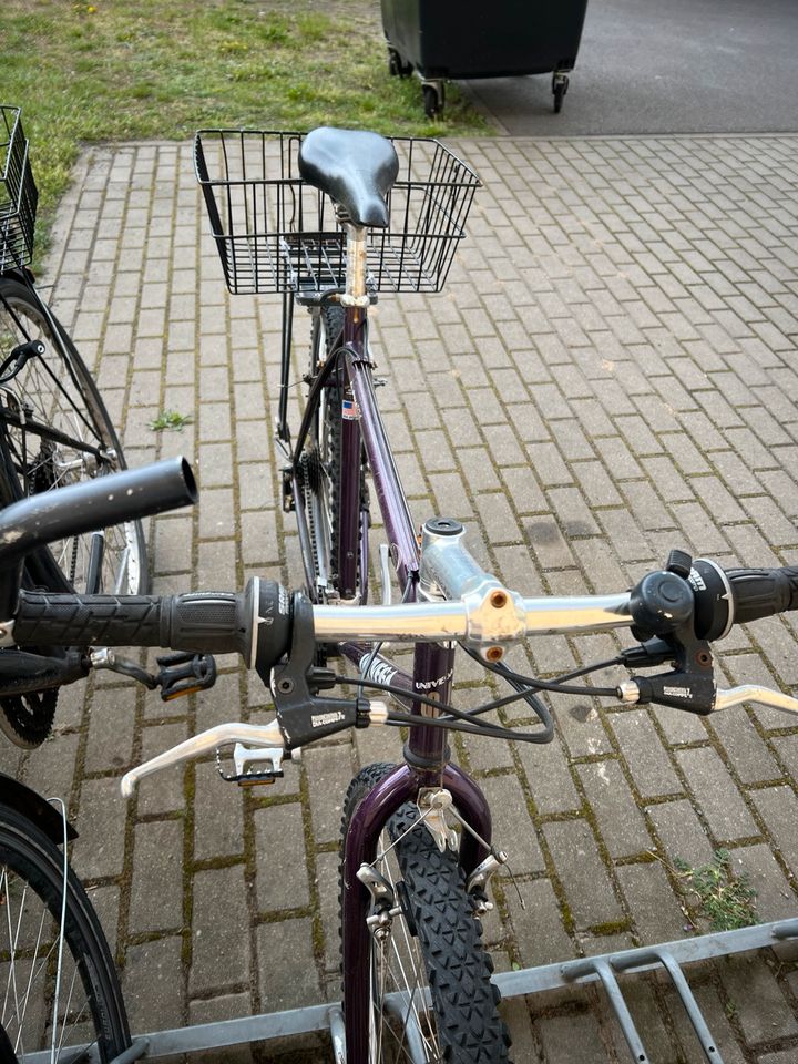 Sport Fahrrad in Hennigsdorf