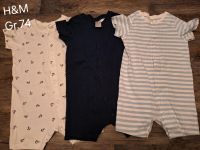 H&M 3er Pack Schlafanzug Gr.74 Dresden - Cotta Vorschau