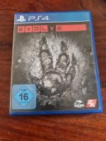 PS4 EVOLVE Bayern - Sulzbach a. Main Vorschau