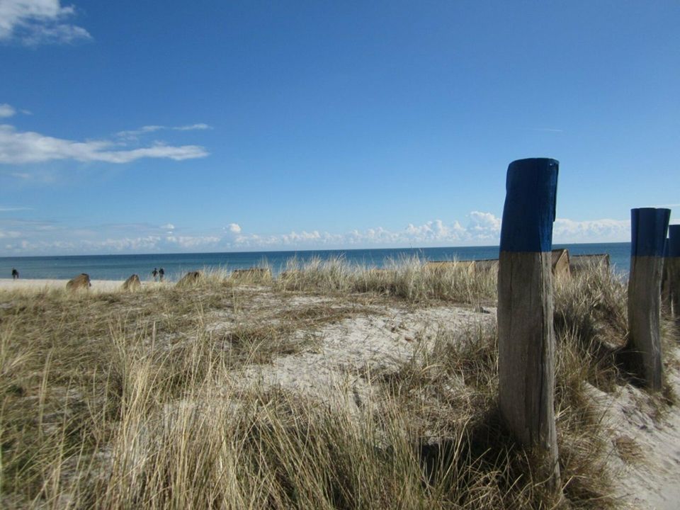 Urlaub am Südstrand auf Fehmarn / Ferienwohnung - in Fehmarn