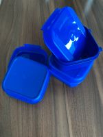 Tupperware Dose blau Niedersachsen - Danndorf Vorschau