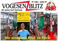 ⚠️ AMR Vogesenblitz® ecoLine 16 Tonnen (stehend) Holz - Spalter Nordrhein-Westfalen - Much Vorschau