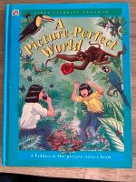 A picture perfect world Kinderbuch Englisch Bayern - Hilpoltstein Vorschau