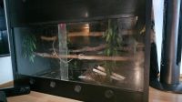 2x Lanzo Herp Terrarium Schwarz 100x600x600 Nordrhein-Westfalen - Minden Vorschau