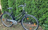 28 Zoll, Active Alu Damenrad / 7 Gänge Niedersachsen - Braunschweig Vorschau