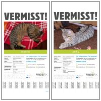 Katzen vermisst!!! Bayern - Tauberrettersheim Vorschau
