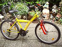 gelbes Fahrrad 24 " Mountain BUFFALO 21 Gang Shimano SIS Nordrhein-Westfalen - Lüdenscheid Vorschau