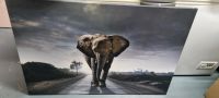 Schönes Fotobild mit einem Elefanten Nordrhein-Westfalen - Solingen Vorschau