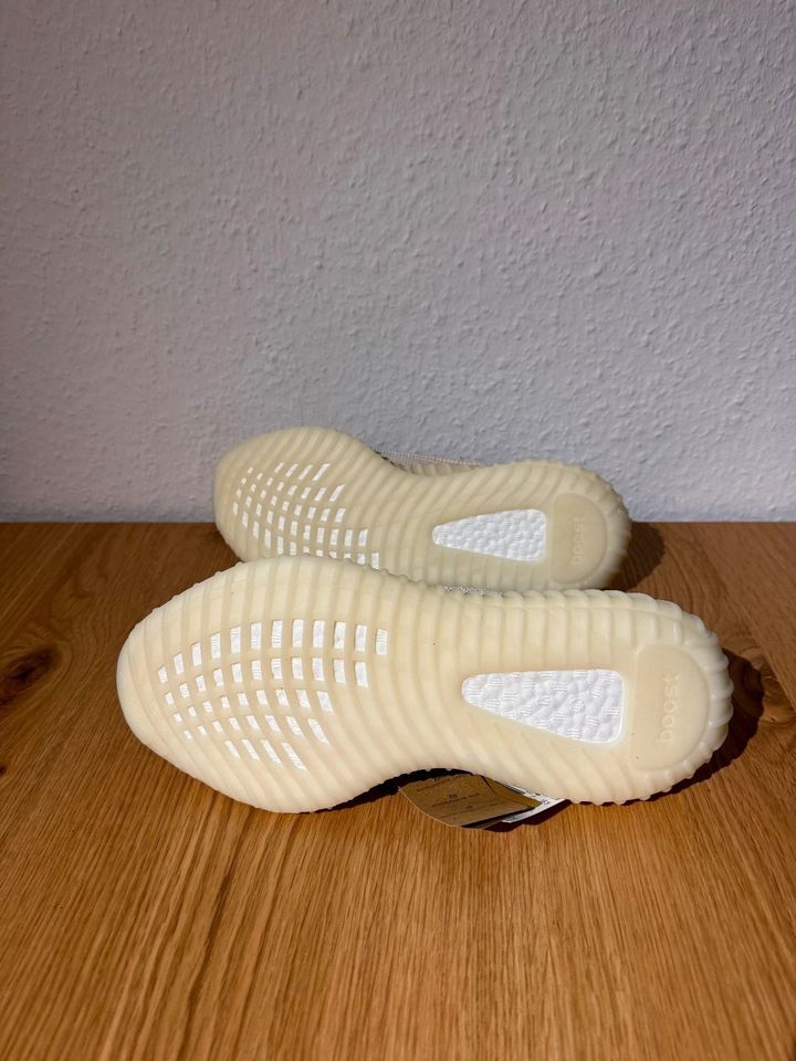 ADIDAS YEEZY BOOST YZY 350 V2 CMPCT US 9,5 EU 43 1/3  H06519 in Duisburg