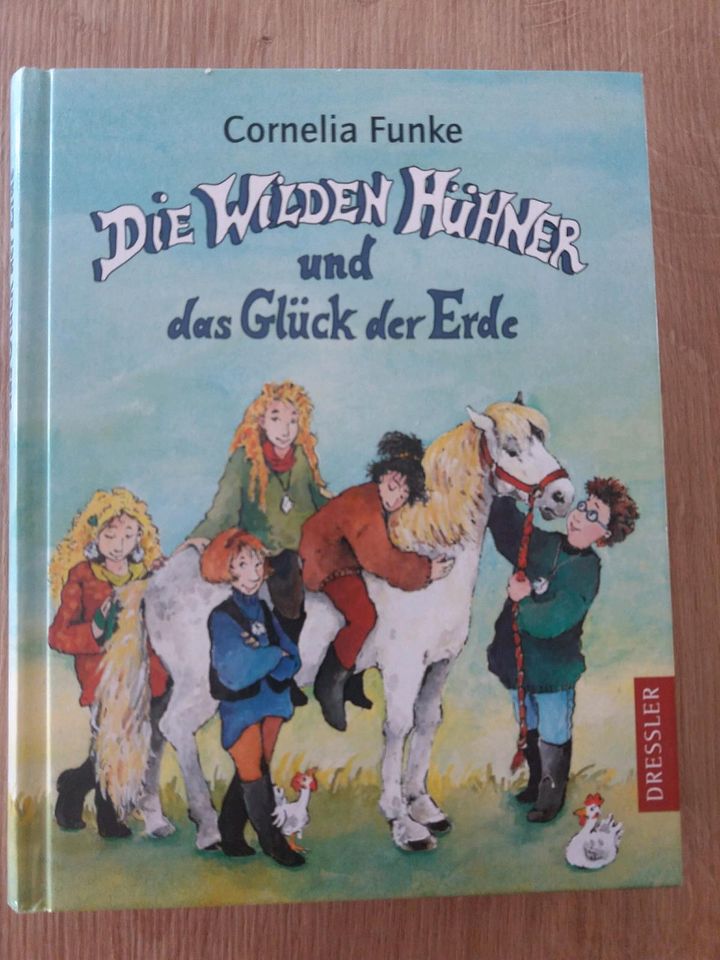 Buch  - Lektüre - Die wilden Hühner  - Cornelia Funke in Ettlingen
