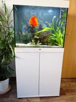 Aquarium Juwel Lido 200 L Set B 71 x H 145 x T51 cm Weiß Sachsen-Anhalt - Sangerhausen Vorschau