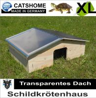 Schildkrötenhaus mit Glasdach Schutzhaus Landschildkrötenhaus Bayern - Augsburg Vorschau