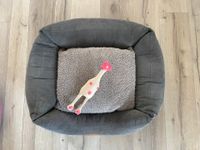 Petlando Hundekorb Hund Bett  30x40 Liegefläche Baden-Württemberg - Burgstetten Vorschau