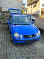 VW Polo Privatverkauf Export Hessen - Bischoffen Vorschau