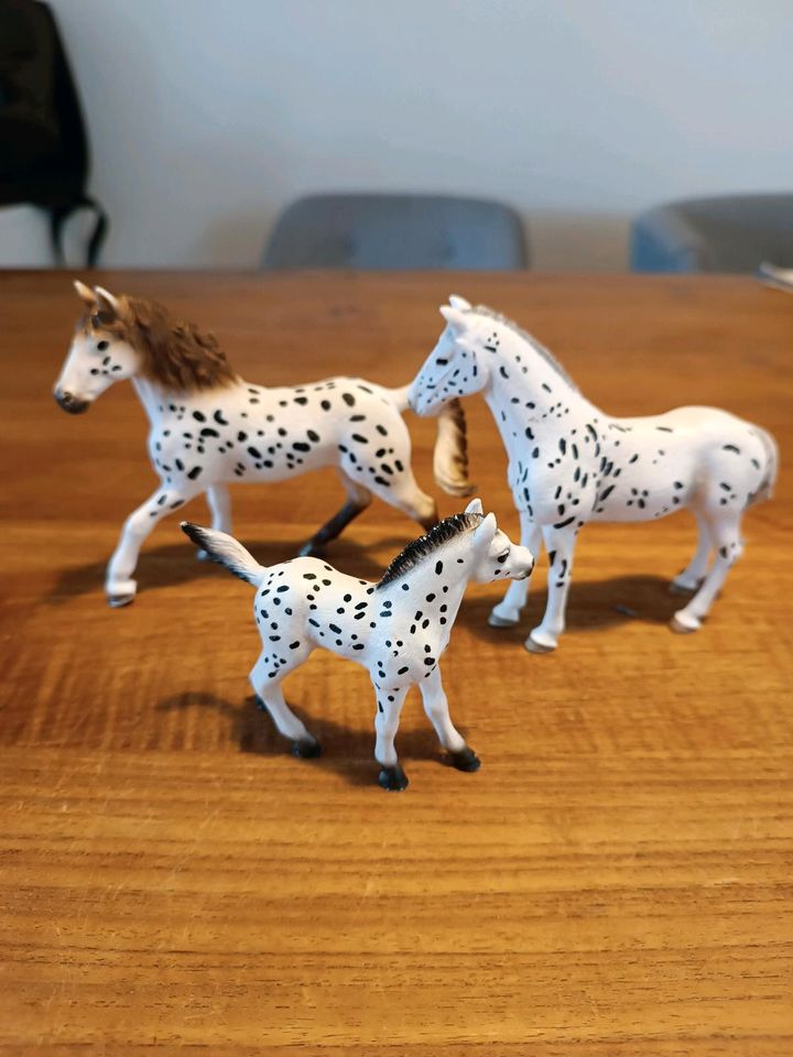 Schleich pferde Knabstrupper Hengst 13889, Stute 13910, Fohlen in Hohenthurm