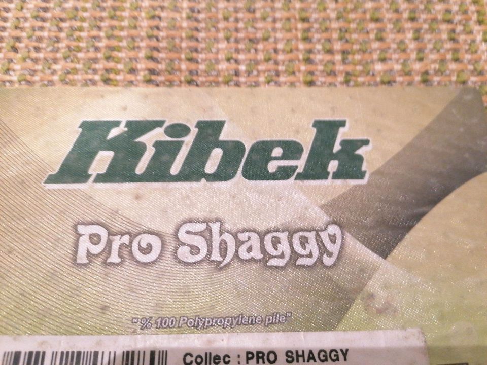 Teppich Shaggy grün 80x150 in Hirschhorn (Neckar)
