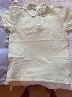 Scotch & Soda Poloshirt Gr. 152 Sachsen - Taura Vorschau