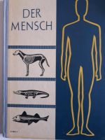 DDR Schulbuch Der Mensch Sachsen - Lichtenau Vorschau