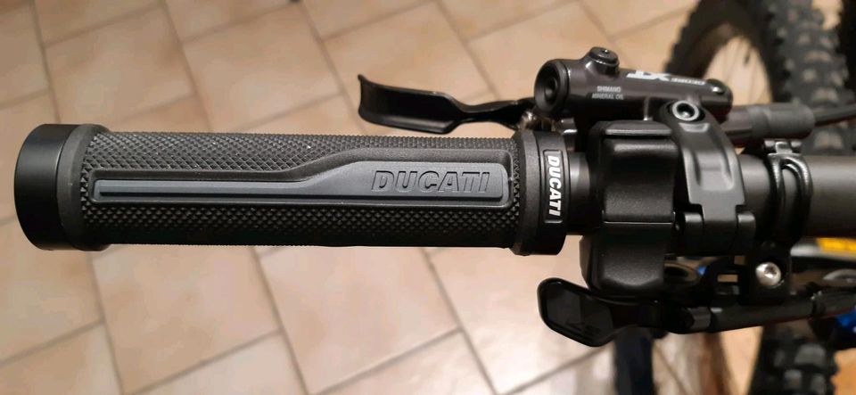 DUCATI ÖHLINS SHIMANO EP8 THOK E-BIKE E-MTB TK-01 RR EMTB in Erbach