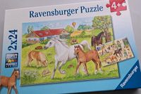 Puzzle,  Pferde, 4 Jahre, 2x24 Teile, gebraucht,  sehr gut Mecklenburg-Vorpommern - Möllenbeck Vorschau