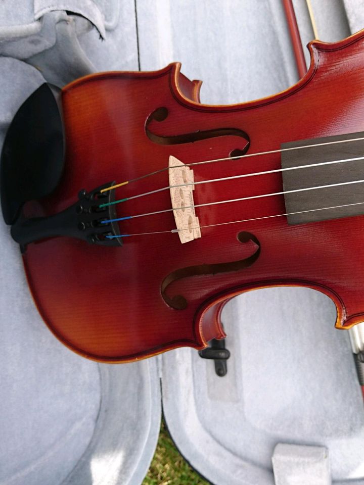 Geige 4/4, Gewa Allegro in Schladt