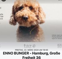 2 Enno Bunger Konzerttickets 22.03.24 Hamburg Niedersachsen - Lüneburg Vorschau
