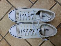 Converse all Star Größe 37 Hessen - Mücke Vorschau