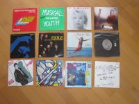 Single Vinyl Schallplatten Konvolut 12 Stück Schleswig-Holstein - Trittau Vorschau