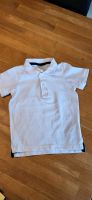 Poloshirt Gr. 86 Nordrhein-Westfalen - Wiehl Vorschau