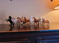 Schleich Pferde + 1x Reiter Nordrhein-Westfalen - Lennestadt Vorschau