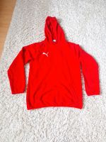 Puma Hoodie 164  Pullover Sweatshirt Shirt Niedersachsen - Gehrden Vorschau