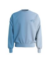 Sweater von Tommy Hilfiger Größe S Neu mit Etikett Niedersachsen - Hameln Vorschau