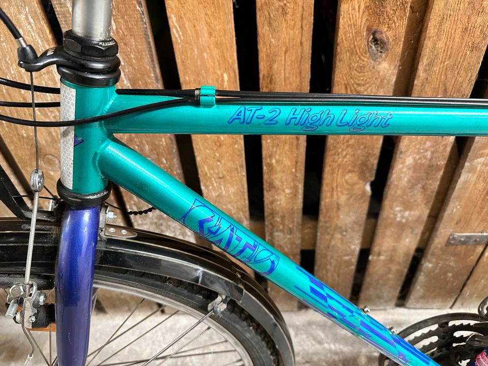 Fahrrad 28 Zoll für Bastler Kellerfund.Angebote machen bitte. in Berlin