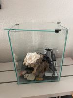 Aquarium Aquael Shrimps 20 L mit Zubehör Berlin - Neukölln Vorschau