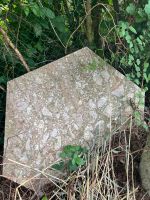 Steinplatte zu verkaufen Schleswig-Holstein - Leezen Vorschau