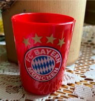 FC Bayern München Becher Sachsen - Schönheide Vorschau