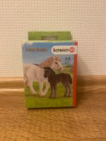 Schleich Farm world 42423 Hessen - Kassel Vorschau
