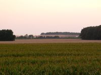 Landkreis Ludwigslust-Parchim: ca. 9,66 ha land- und forstwirtschaftliche Nutzfläche zu verkaufen Mecklenburg-Vorpommern - Siggelkow Vorschau