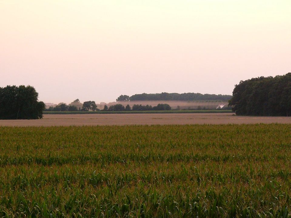 Landkreis Ludwigslust-Parchim: ca. 9,66 ha land- und forstwirtschaftliche Nutzfläche zu verkaufen in Siggelkow