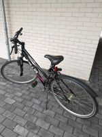 Gamma Kellys CRX Damenfahrrad Fahrrad Nordrhein-Westfalen - Hilden Vorschau