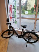 RIEJU EBike City Sport 625 Niedersachsen - Kalefeld Vorschau