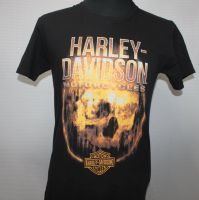 Harley Davidson EL Paso Texas T-Shirt für Biker und HD Fans in M Mecklenburg-Vorpommern - Penkun Vorschau