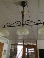 Landhauslampe Baden-Württemberg - Pliezhausen Vorschau