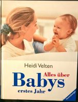 Buch "Alles über Babys erstes Jahr" Heidi Velten gebunden DIN A4 Rheinland-Pfalz - Hütschenhausen Vorschau
