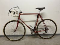 F. Moser Rennrad - Aus den 80er Jahren - Campagnolo-Ausstattung Bonn - Bonn-Zentrum Vorschau