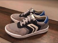 Geox Sneaker Turnschuhe Gr 34 grau Sachsen - Schkeuditz Vorschau